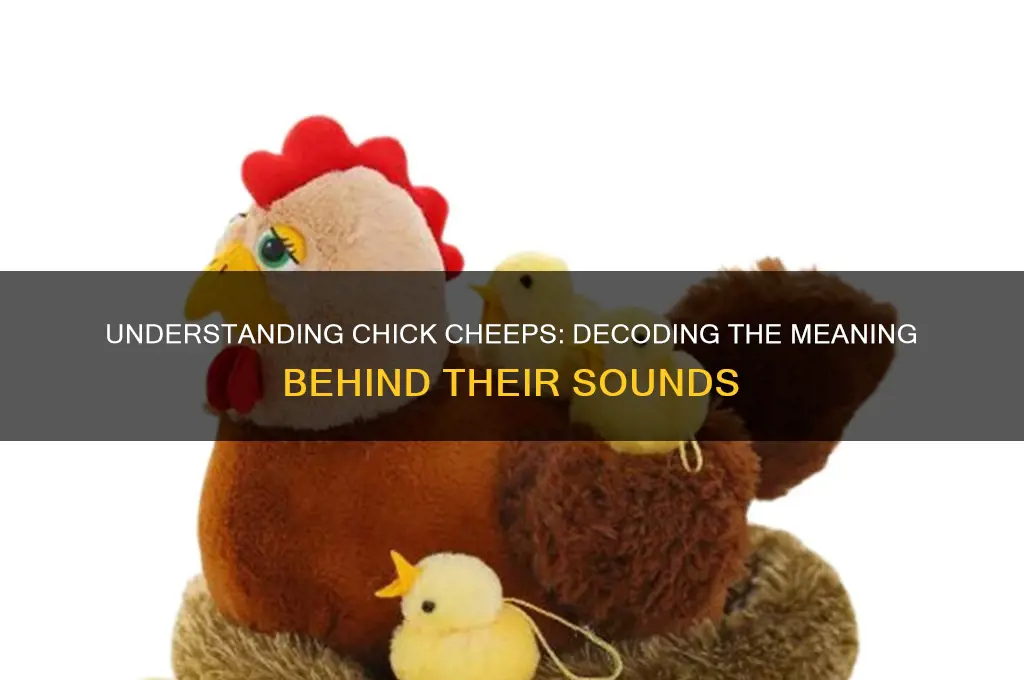what does it mean when a chick cheeps