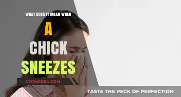 Understanding Chick Sneezes: Causes, Concerns, and Care Tips