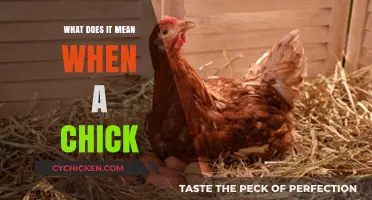 What Does It Mean When a Chick Behaves Strangely? Explained