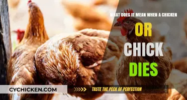 Why Do Chicks Die?