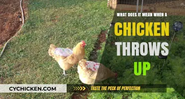 Why Chickens Vomit and What to Do About It