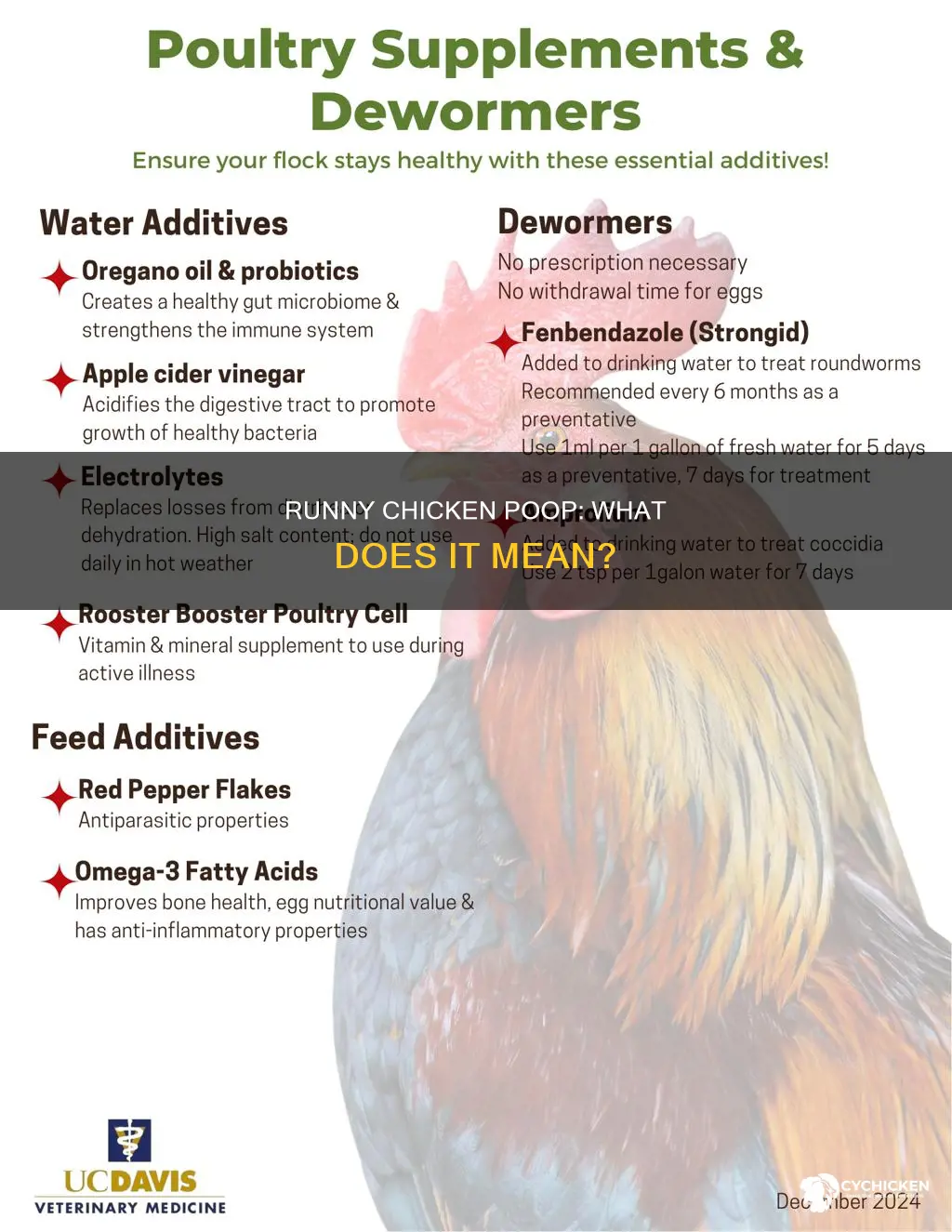 what does it mean when a chicken