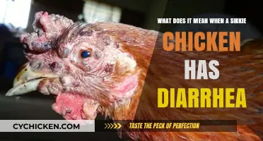 Sikkie Chickens: Diarrhea and What it Means