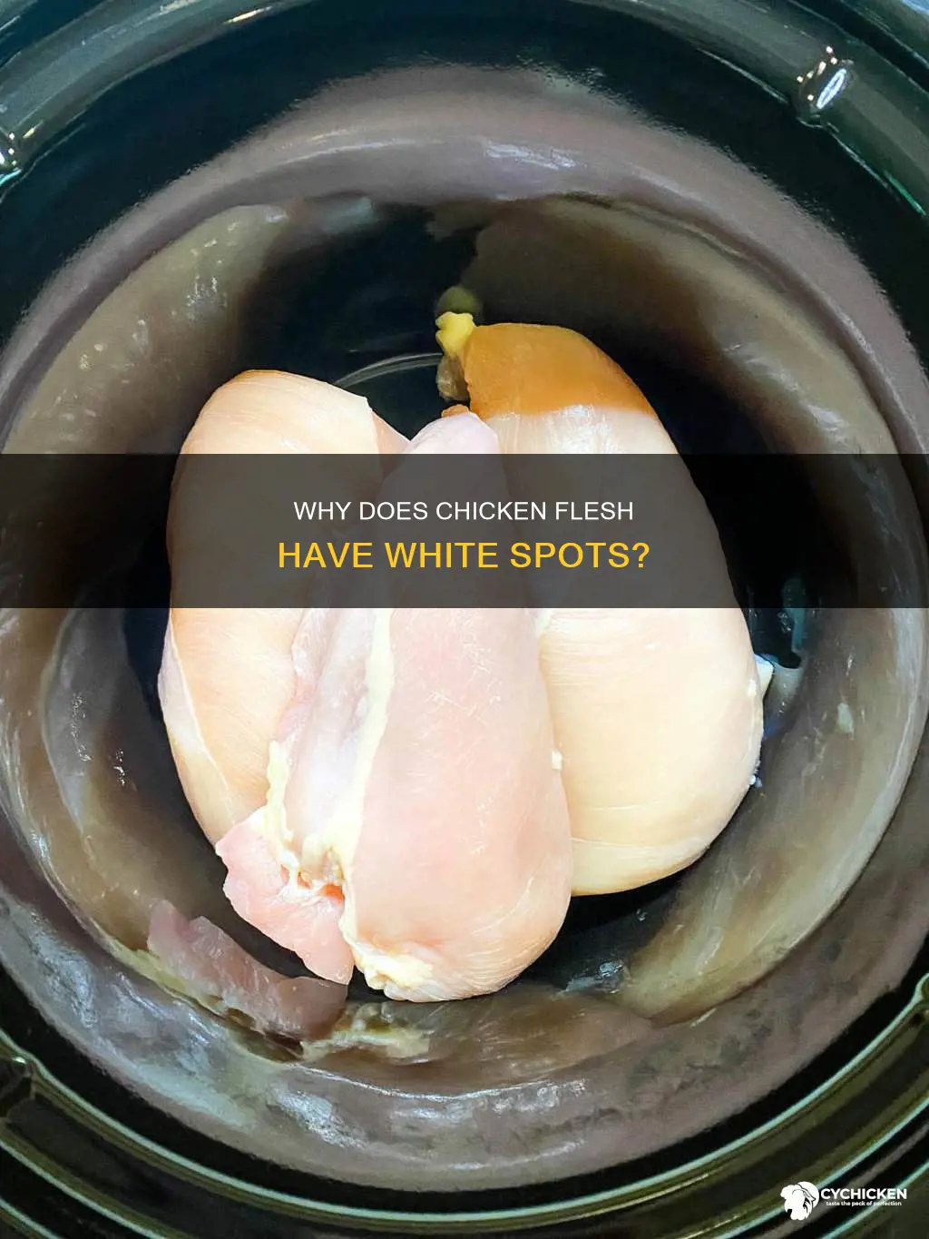 what does it mean when chicken has white spots