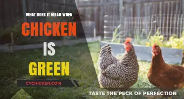 Why Is My Chicken Green? Causes and Safety Concerns Explained