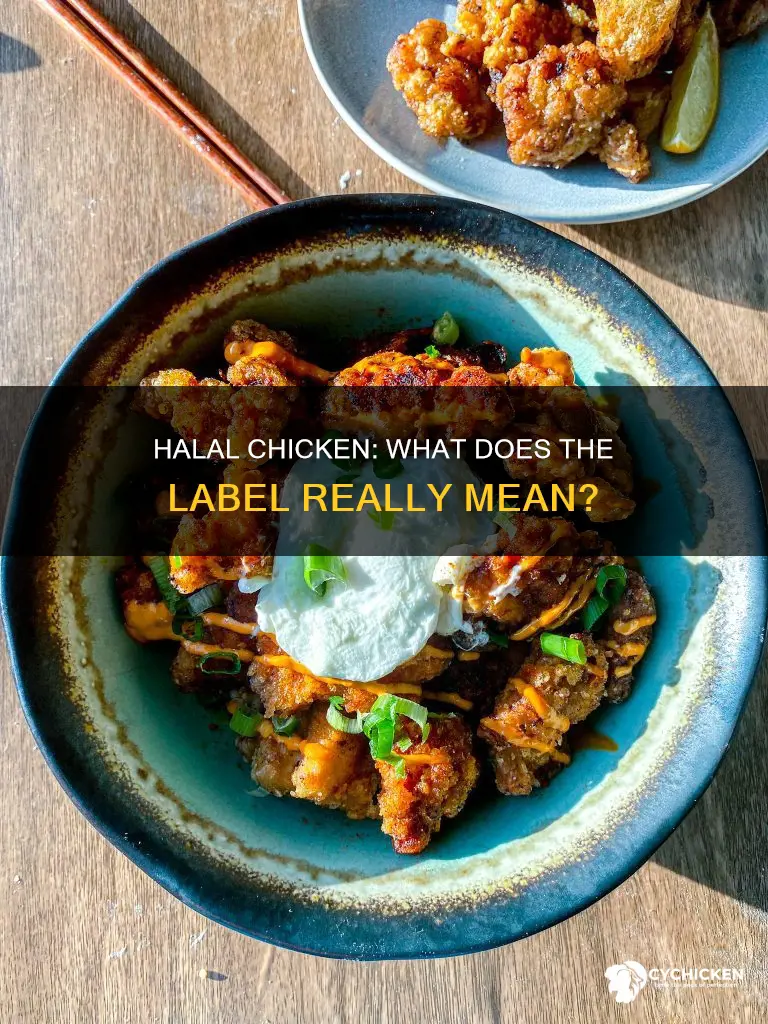 what does it mean when chicken is labelled halal