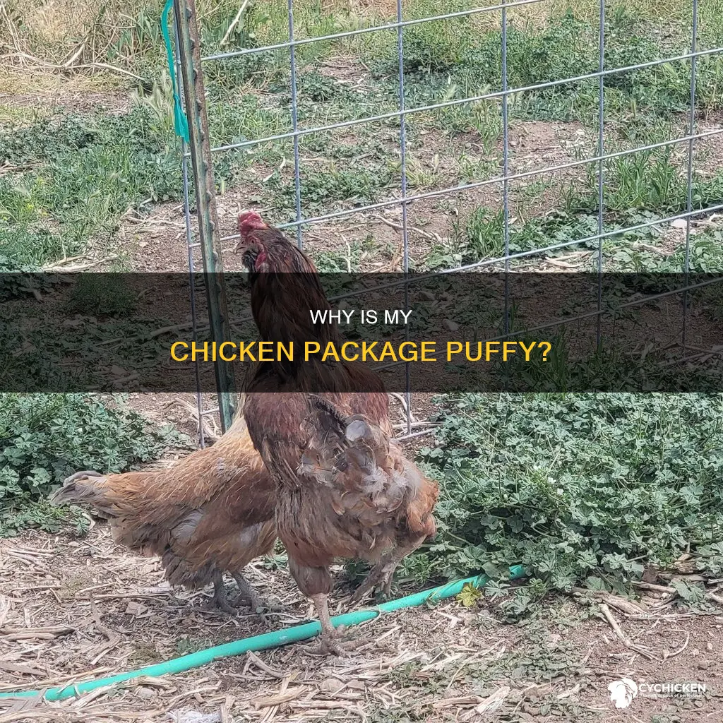 what does it mean when chicken package is puffy