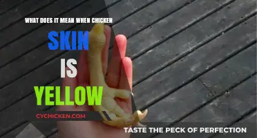 Why Is Chicken Skin Yellow?