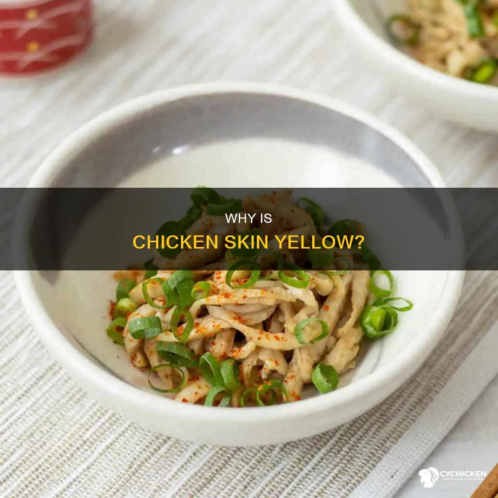 what does it mean when chicken skin is yellow