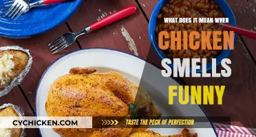 Why Does My Chicken Smell Off? Understanding Freshness and Safety