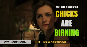 Understanding the Phenomenon: What Does It Mean When Chicks Are Burning?