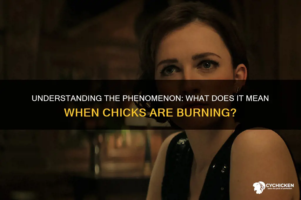 what does it mean when chicks are birning