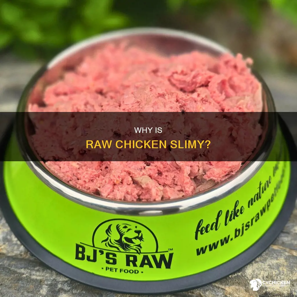 what does it mean when raw chicken is slimy