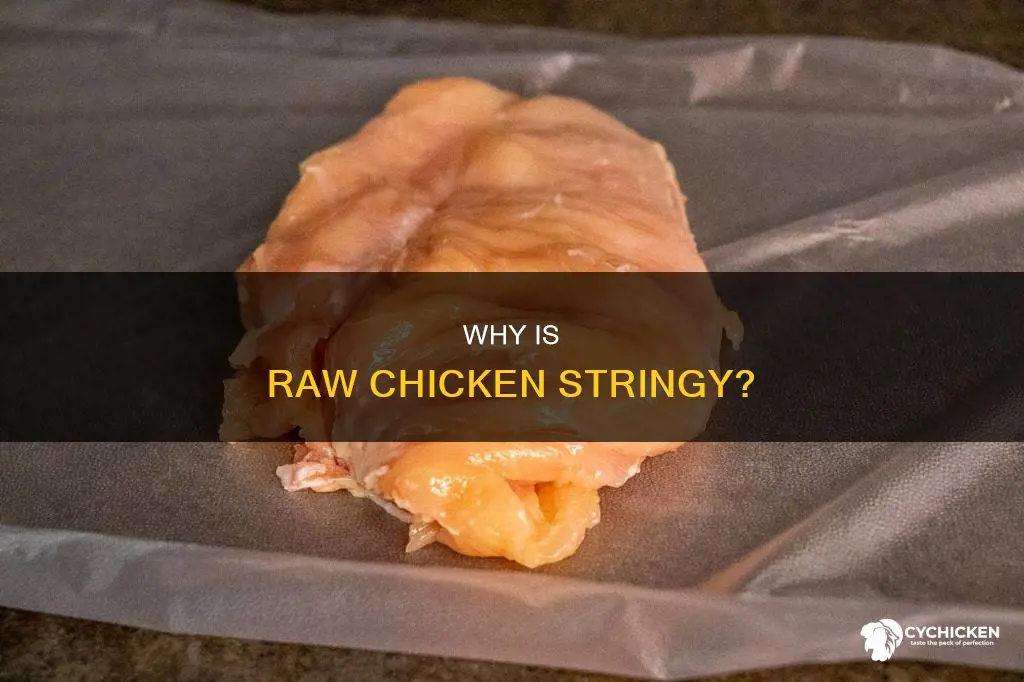 what does it mean when raw chicken is stringy