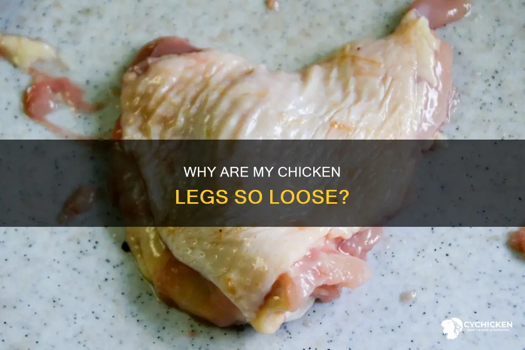 what does it mean when the chicken leg moves loosely