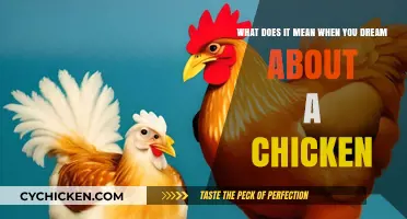 Interpreting Dreams: Chickens and Their Symbolic Meanings