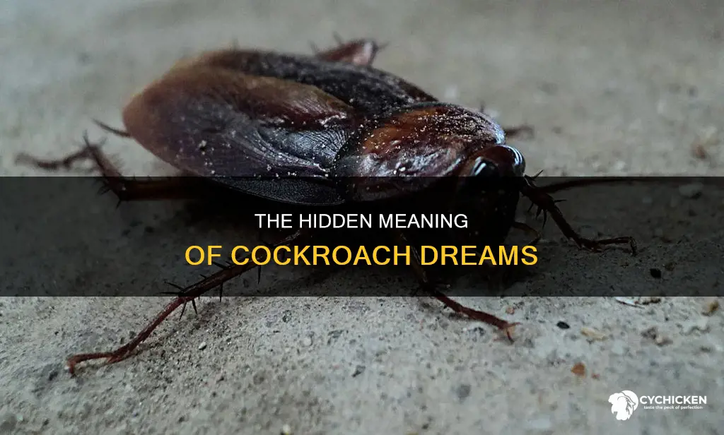 what does it mean when you dream about chick roaches
