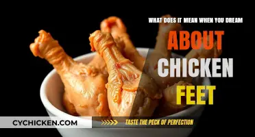 Chicken Feet Dreams: Symbolic Meaning and Interpretation