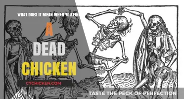 Mysterious Dead Chicken Omens: What Does It Mean?