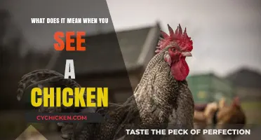 Spotted Chickens: What Does it Mean?