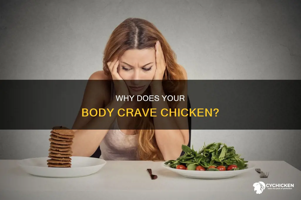 what does it mean when your body craves chicken