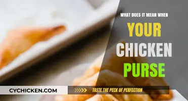 Understanding the Meaning Behind Your Chicken Purse: A Comprehensive Guide