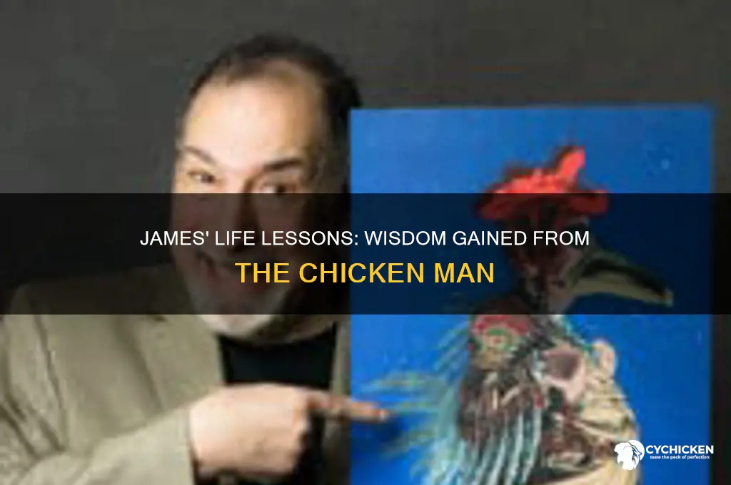 what does james learn from chicken man