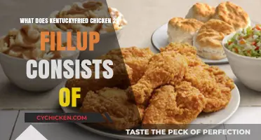 Kentucky Fried Chicken's 20 Fill Up: Menu Breakdown & Details