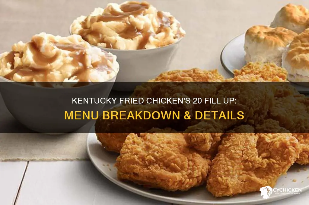 what does kentuckyfried chicken 20 fillup consists of