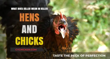 The Killer Hens and Chicks Mystery: What Does It Mean?