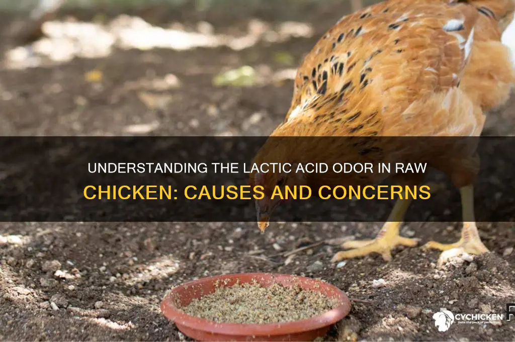 what does lactic acid smell on raw chicken