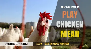 Understanding the Idiom: What Does 'Learn to Play Chicken' Mean?