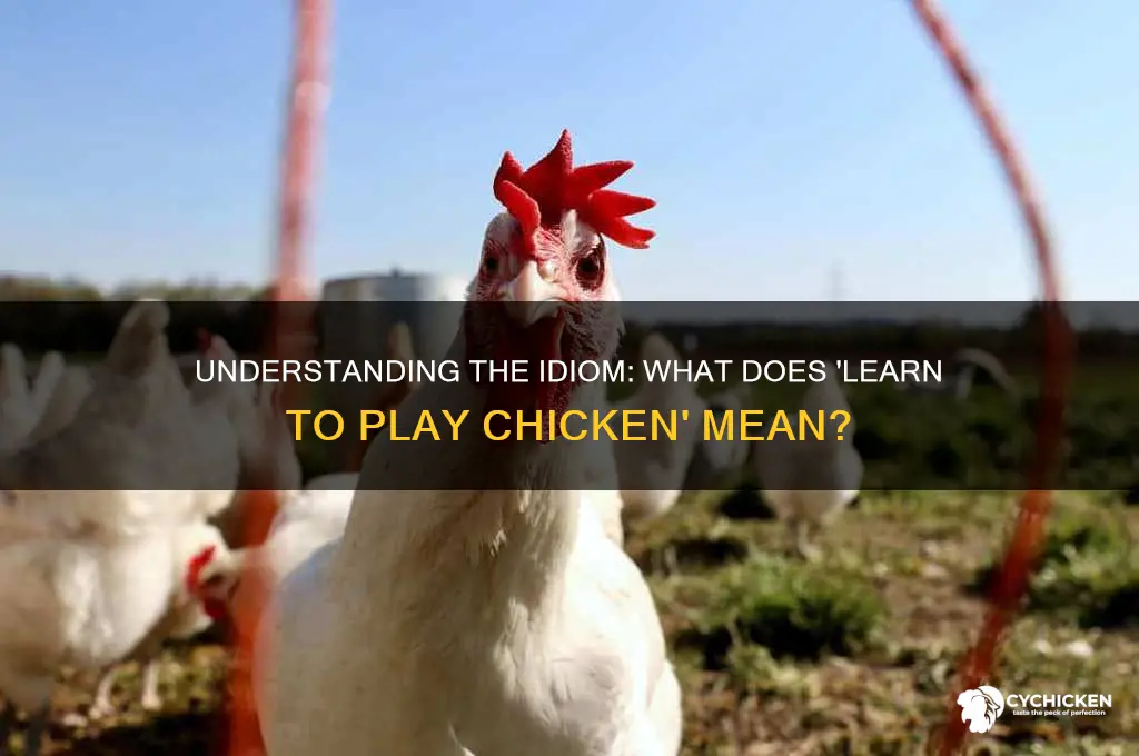 what does learn to play chicken mean