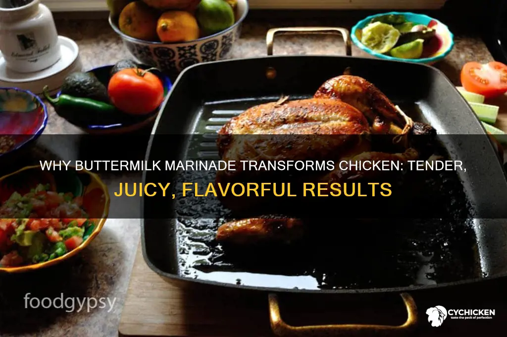 what does marinating chicken in buttermilk do