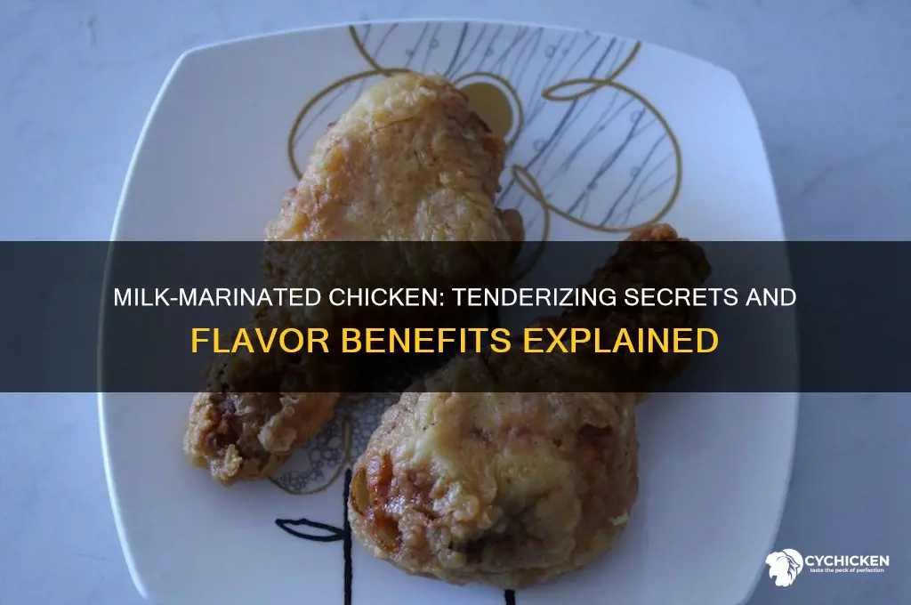 what does marinating chicken in milk do