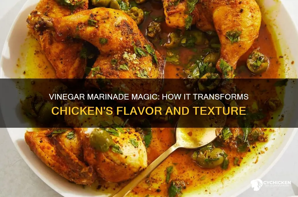 what does marinating chicken in viegar do
