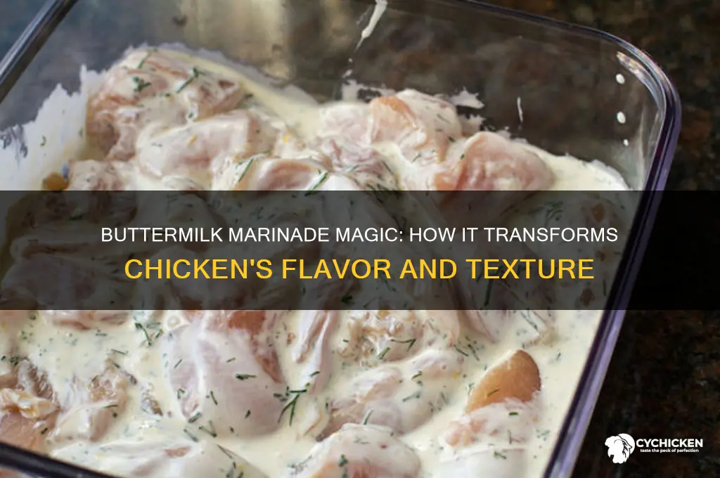 what does marinating in buttermilk do for chicken