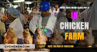 Chicken Farm Class Pay: What Does 'A' Mean?
