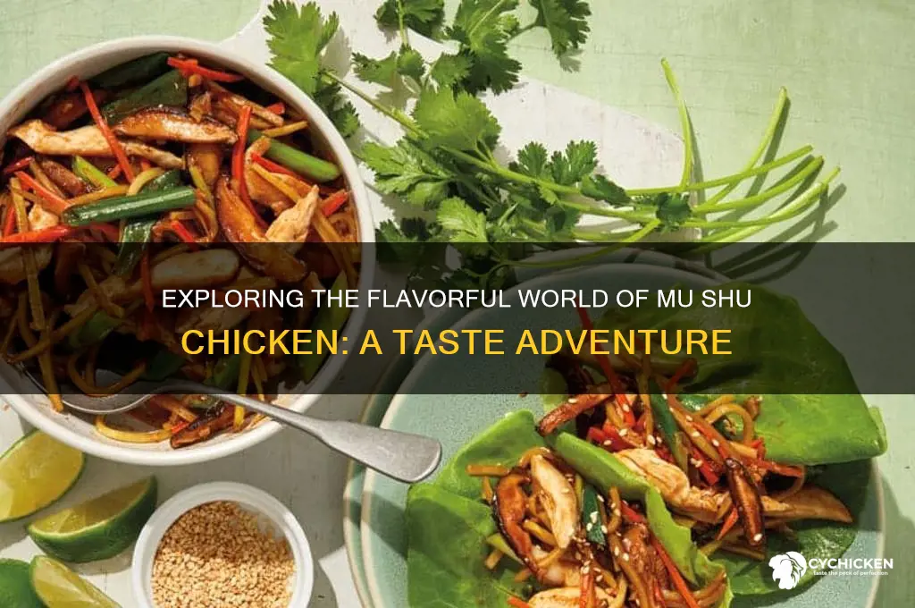 what does mu shu chicken taste like