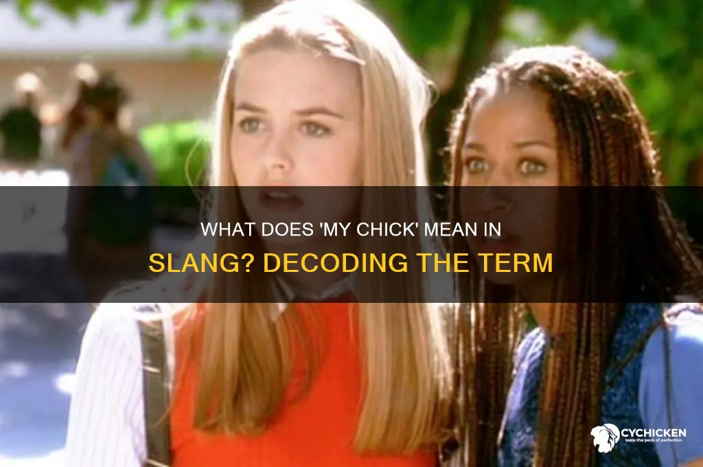 what does my chick mean in slang