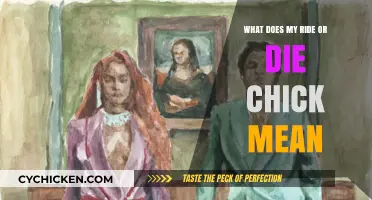 Understanding the Meaning of 'Ride or Die Chick' in Relationships