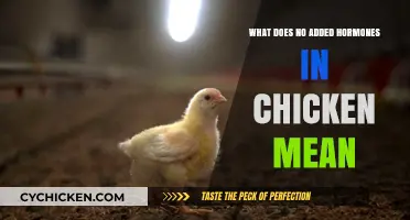 Understanding 'No Added Hormones' in Chicken: What It Really Means