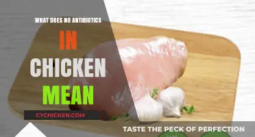 Understanding 'No Antibiotics' in Chicken: What It Really Means