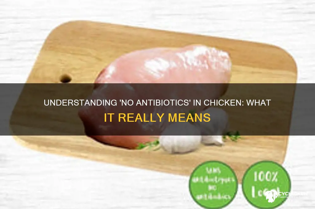 what does no antibiotics in chicken mean