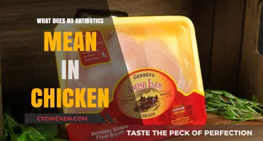 Understanding 'No Antibiotics' in Chicken: What It Means for Your Health