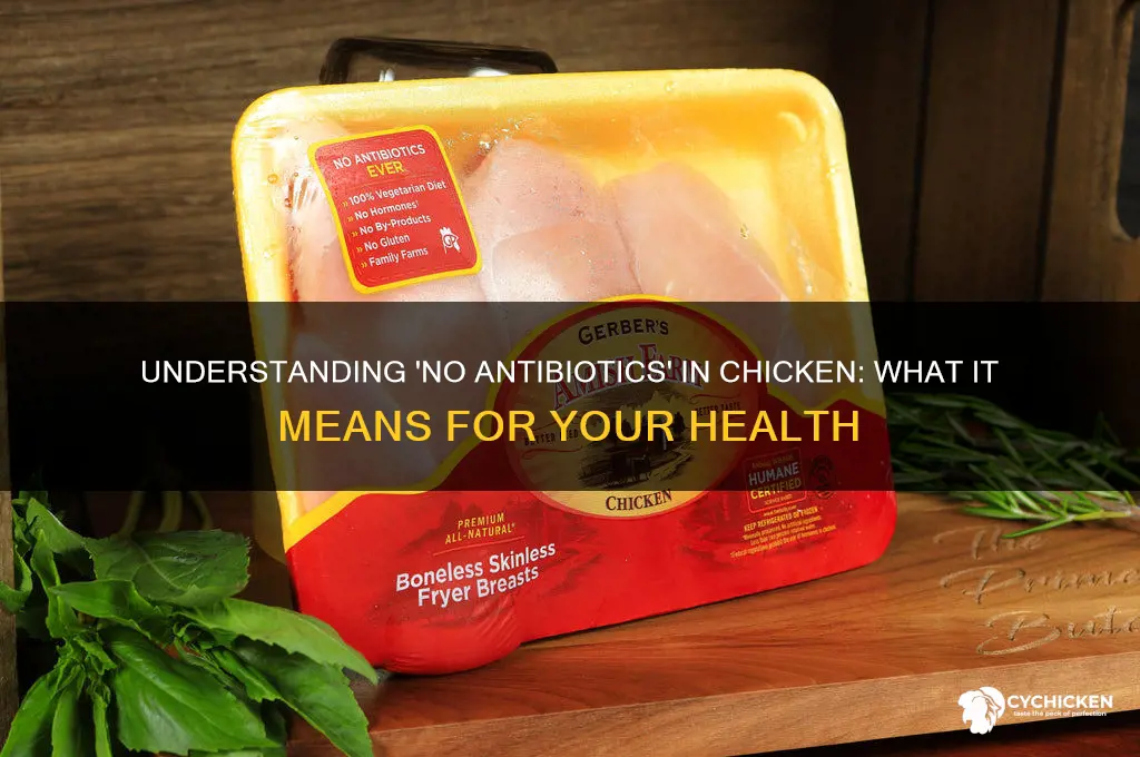 what does no antibotics mean in chicken