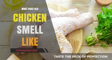 Unraveling the Pungent Mystery: What Does Old Chicken Smell Like?