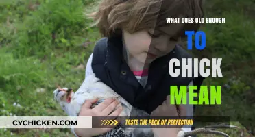 Understanding the Phrase: What Does 'Old Enough to Chick' Mean?