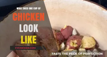 Visual Guide: What Does One Cup of Chicken Look Like?
