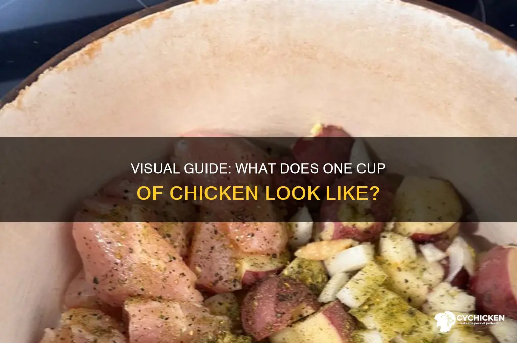 what does one cup of chicken look like